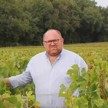Vincent Bougès dans un rang de vignes