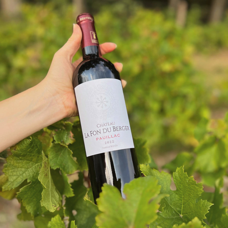 Présentation d'une bouteille de Château Château La Fon du Berger Pauillac dans des rangs de vigne