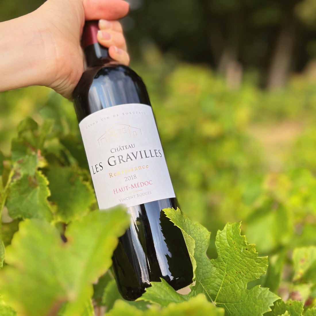 Présentation d'une bouteille de Château Les Gravilles - Renaissance dans des rangs de vigne