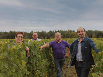 Photographie de Gérard, Marie-Christine, Vincent et Guillaume Bougès dans des rangs de vignes